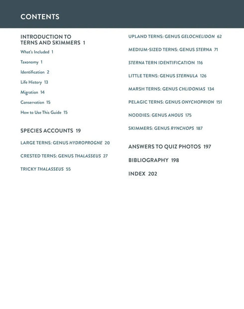 Terns of North America A Photographic Guide -  Cameron Cox 2023